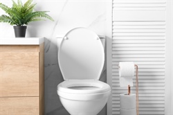 What Causes Frequent Toilet Clogs? Ask a Drain Pro