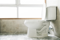 Signs of a Sewer Line Blockage | Expert Tips by Drain Pro Plumbing